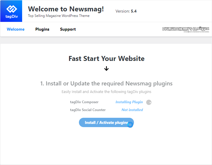 NEWSMAG 5 WordPress Theme Install / Activate plugins
